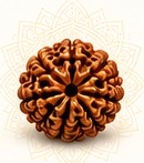Rudraksha bead illustration